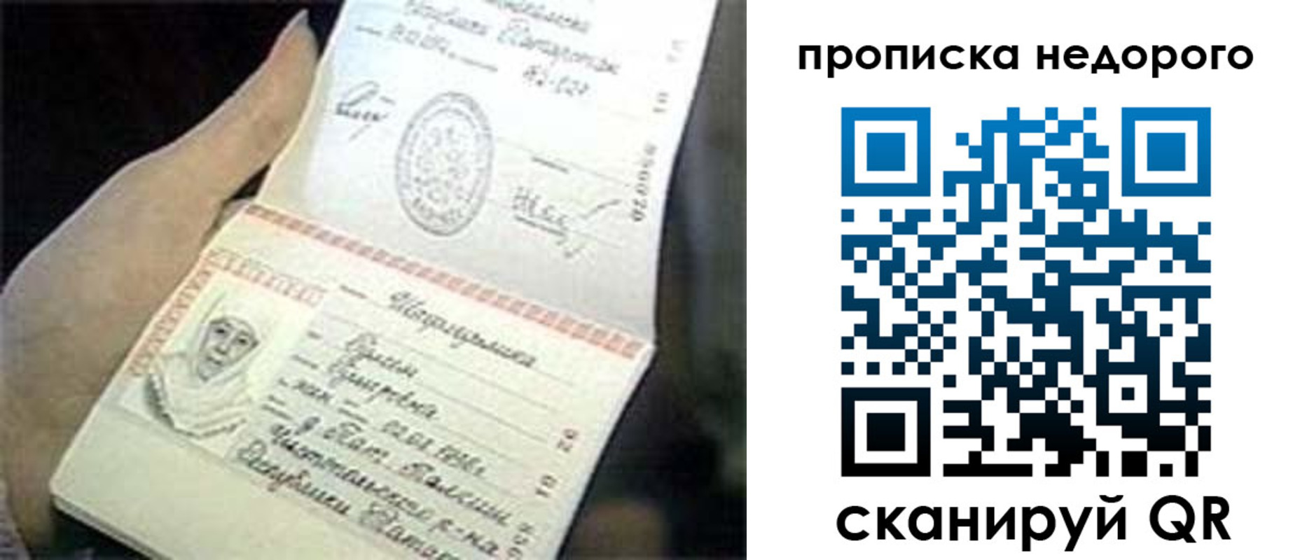 временная регистрация адрес в Димитровграде